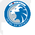 SBNation lions