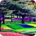 Paisajes de Fantasia