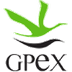 GPEX - Proceso de selección