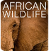African Animals Camera - live 
