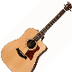 State Musical Instrument
