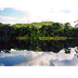 Article: Rainforest Facts