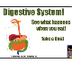 Digestive System Human Body Sc