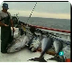 JARA Y SEDAL pesca de atún