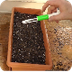DIY Make A Hand Held Seed Sowe
