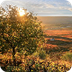 Lugares Rioja
