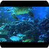 Aquarium 2hr relax music - You