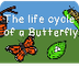 The Life Cycle of a Butterfly 