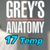 Grey’s Anatomy Temporada 17 Fe