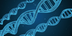 Where is Preimplantation Genet