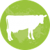 Dairy Farm Education & Resourc
