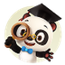 Dr. Panda 