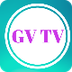 Goldenview Media - YouTube