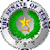 Texas Senate (Symbols)