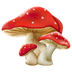 Buy Magic Mushrooms Online in