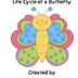 Life Cycle Graphic Organizer