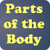 Parts of the Body for Kids - Y