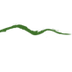 WV State Jobs