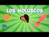 Los Moluscos | Videos Educativ