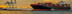 Professional Customs Broker in