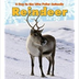 Reindeer - A Day in the Life -
