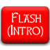Curso de Flash: Introducción -