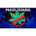  Why Marijuana 