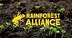 Home | Rainforest Alliance