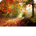 Herfst