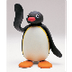 Pingui (Takolo, Pirr