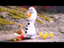 OLAF Series ALL Episodes Compi
