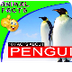 10 Fun Facts About Penguins fo