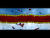 Cell Membrane Passive Transpor