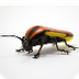 LIghtning Bug (Firefly)