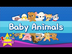 Kids vocabulary - Baby Animals