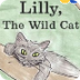 Lilly the Wild Cat Story