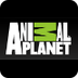 Animal Planet Games