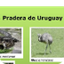 Las Praderas, Pradera Uruguaya