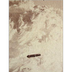 UFO sightings: 140 years of U