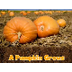 A Pumpkin Grows 
