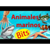 Animales marinos bits