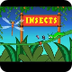 Learn About Insects | Nursery 