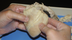 Dissection 101 | Sheep heart 2