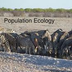 Population Ecology Tutorial |