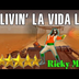 Ricky Martin - Livin La Vida