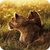 Create SafeView - Na
