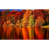 Autumn Song French Poem