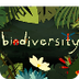 Why is biodiversity so importa