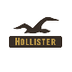 Hollister Co. 