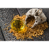 Benefits of Organic Mustardoil